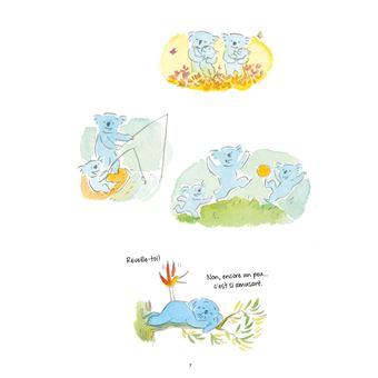 La philosophie koala