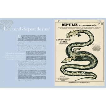 Créatures fantastiques 　DEYROLLE Deyrolle-animaux-fantastiques-