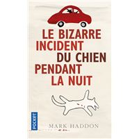 Le bizarre incident du chien pendant la nuit