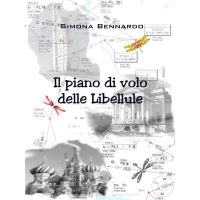 Il piano di volo delle Libellule
