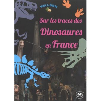 Sur les traces des dinosaures en France