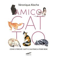 Amico gatto