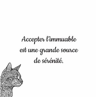 Chats Zen - Je médite, je colorie, je dessine
