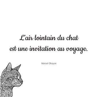 Chats Zen - Je médite, je colorie, je dessine