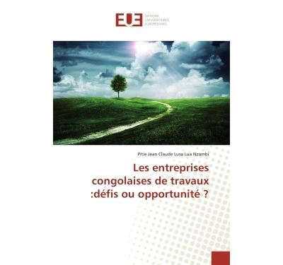 Les entreprises congolaises de travaux :defis ou opportunite ?