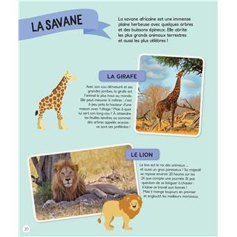 Mon premier atlas des animaux (avec 3 posters et 80 autocollants)