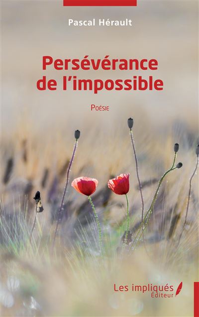 Persévérance de l'impossible - Pascal Hérault - broché