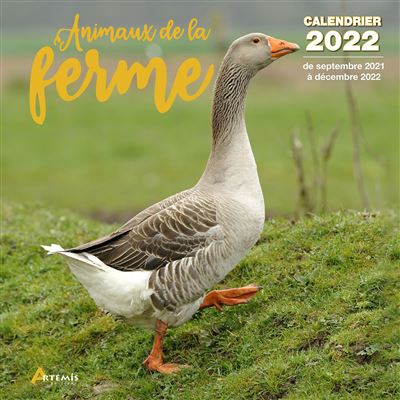 Calendrier 2022 Animaux Calendrier Animaux de la ferme 2022   broché   Collectif   Achat 