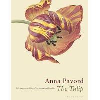 Tulip