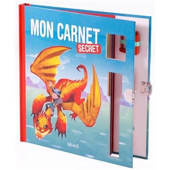 Mon carnet secret Garçon Livre avec code - broché - Andry Rajoelina ...