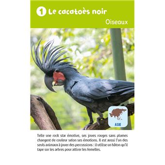 Récré en boîte - Le jeu des animaux étonnants