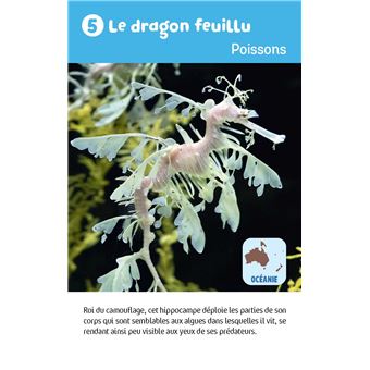 Récré en boîte - Le jeu des animaux étonnants