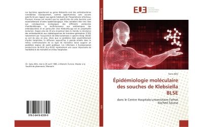 Épidémiologie moléculaire des souches de Klebsiella Blse