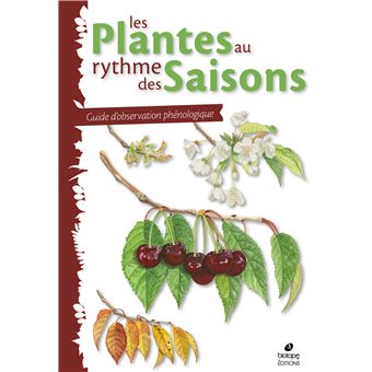 Les plantes au rythme des saisons
