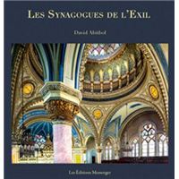 Les Synagogues de l'Exil