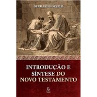 Introdução e síntese do Novo Testamento - eBook