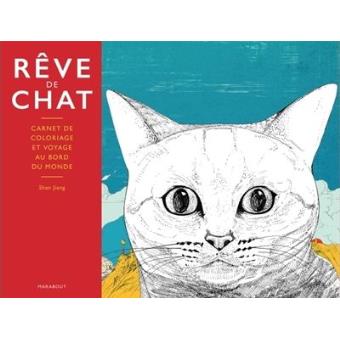 Reve De Chat Broche Jiang Shan Shengming Jiang Achat Livre Fnac