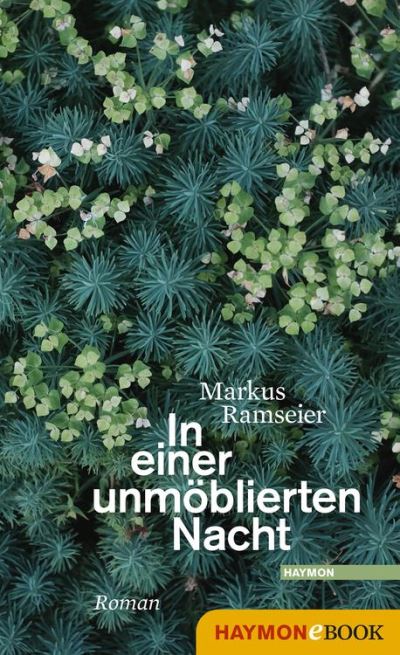 In einer unmÃ¶blierten Nacht: Roman Markus Ramseier Author