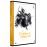 Le château de l’araignée Collection Fnac DVD_0