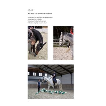 Stretching Shiatsu équin à cheval