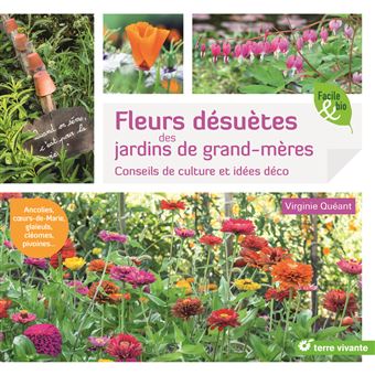 Fleurs désuètes des jardins de grand-mères