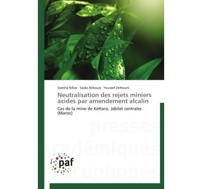 Neutralisation des rejets miniers acides par amendement alca