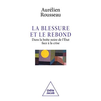 La Blessure et le Rebond