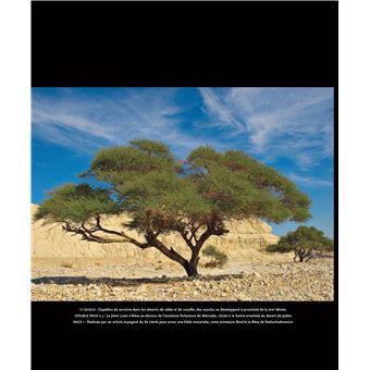 Atlas historique du monde biblique