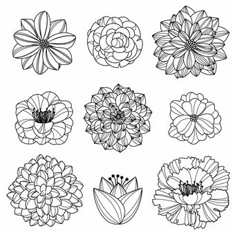 Fleurs Merveilleuses - Je médite, je colorie, je dessine