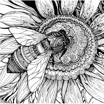 Fleurs Merveilleuses - Je médite, je colorie, je dessine