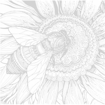 Fleurs Merveilleuses - Je médite, je colorie, je dessine