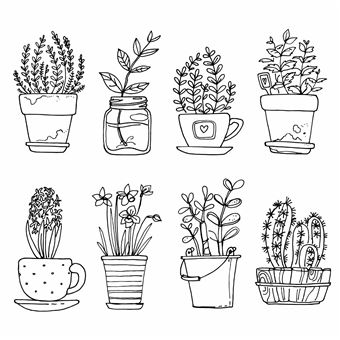 Fleurs Merveilleuses - Je médite, je colorie, je dessine