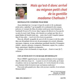 Mais qu’est-il donc arrivé au mignon petit chat de la gentille madame Chafouin ?