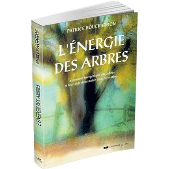 L'énergie des arbres - Le pouvoir énergétique des arbres et leur aide dans notre transformation