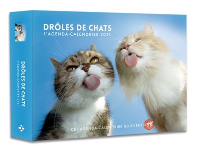 L'Agenda-calendrier Drôles de Chats 2021