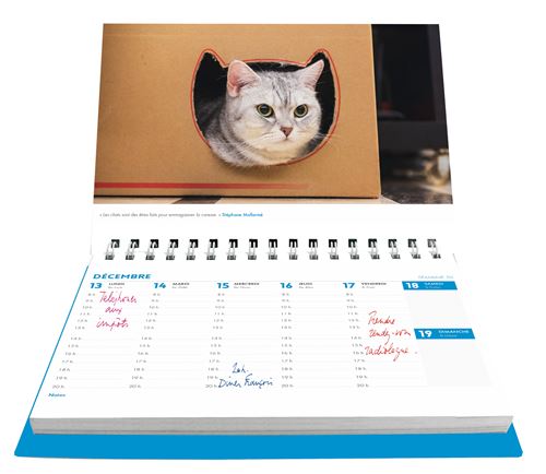 Drôles de chats : l'agenda-calendrier (édition 2024)