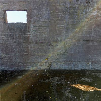 IN SEARCH OF THE../LP