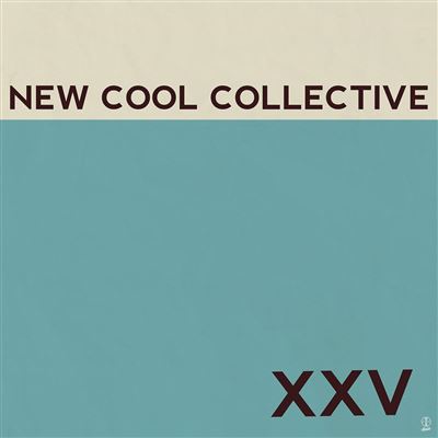 Xxv/vinyle couleur