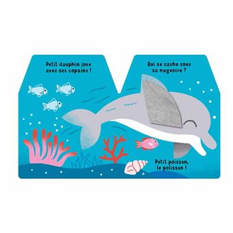 Cache cache petit dauphin