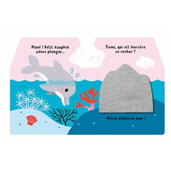 Cache cache petit dauphin