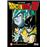 Dragon Ball Z100 000 guerriers de métal_0