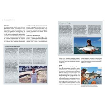 Guide complet des poissons de pêche sportive