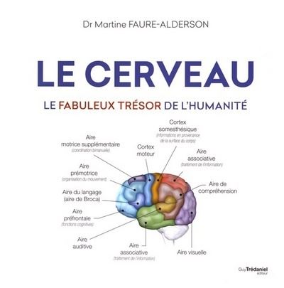 Le cerveau le fabuleux tresor de l'humanite