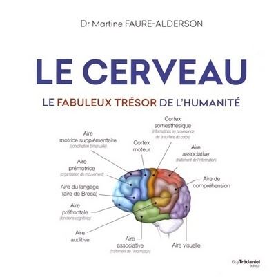 Le cerveau - Le fabuleux trésor de l'humanité