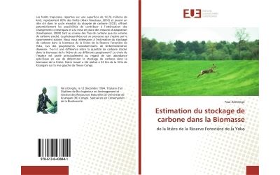 Estimation du stockage de carbone dans la Biomasse