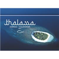 L Agenda Calendrier Montagnes Et Sommets 2017 Broche Collectif Achat Livre Fnac