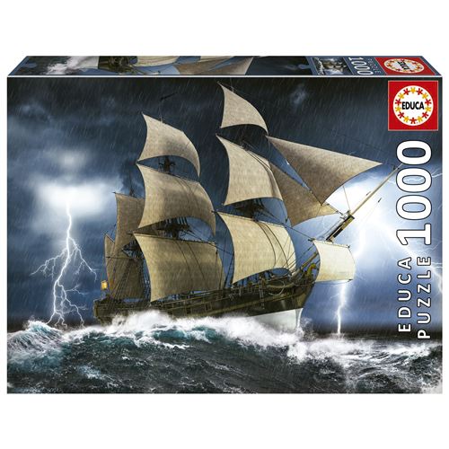 Puzzle Educa - Orage Parfait - 1000 Pieces