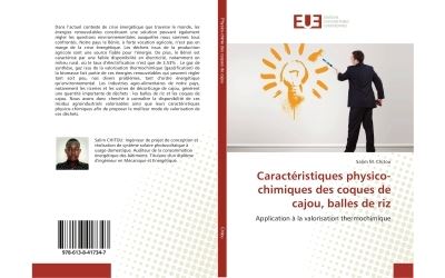 Caracteristiques physico-chimiques des coques de cajou, ball