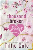 A thousand broken pieces