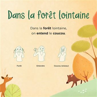 Dans la forêt lointaine, La famille tortue